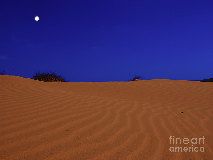 Moon and sand dune Photograph by Ezra Zahor