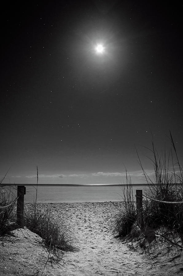 Moon And Stars Over Beach In Black and White Photograph by Greg and Chrystal Mimbs
