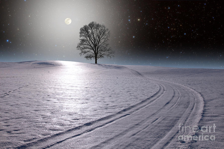 Moon And Tree Photograph by Larry Landolfi