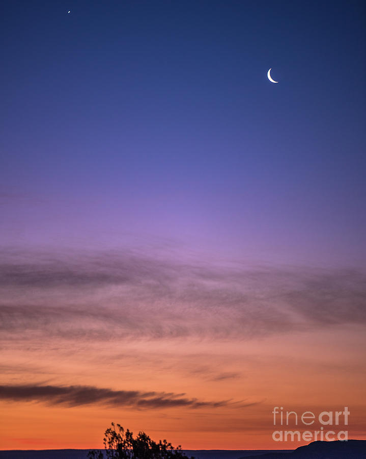 Moon and Venus Photograph by Steven Natanson