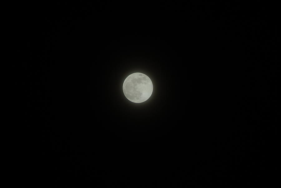 Moon At Night Photograph