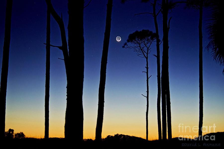 Moon at Sunset Photograph by David Arment
