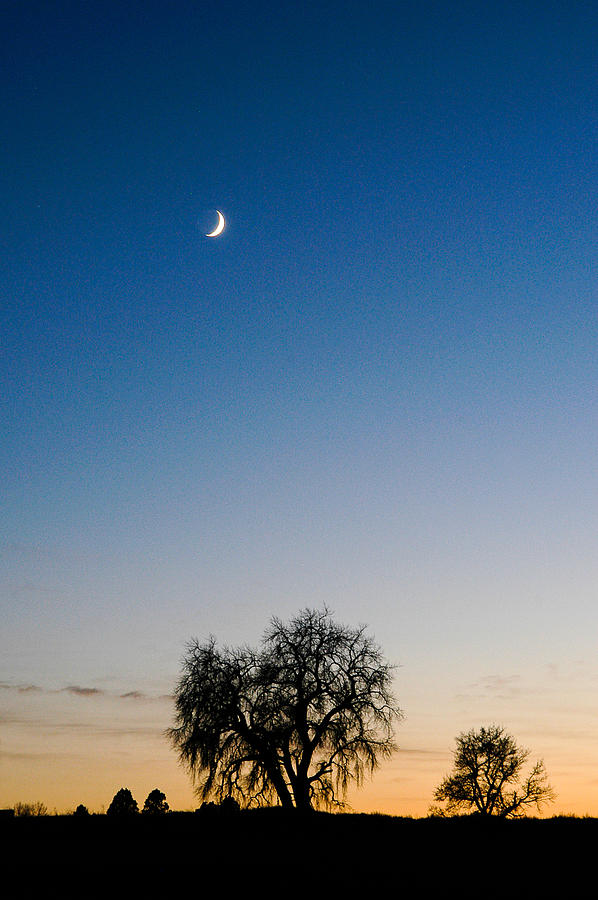 Moon at Sunset Photograph by Monte Stevens