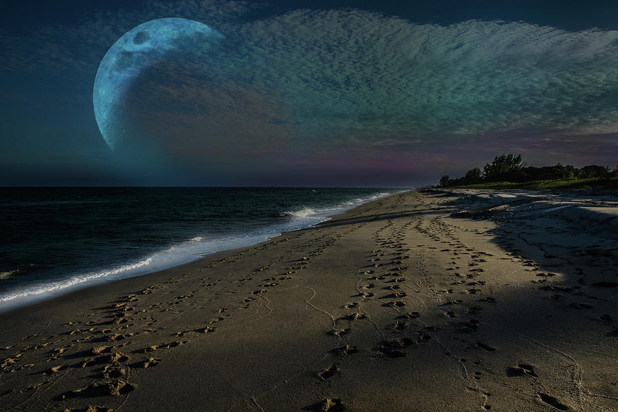 Moon at the beach Photograph by Wolfgang Stocker