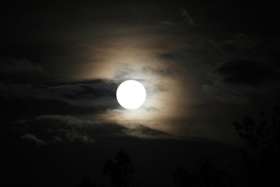 Moon Photograph by Athala Bruckner