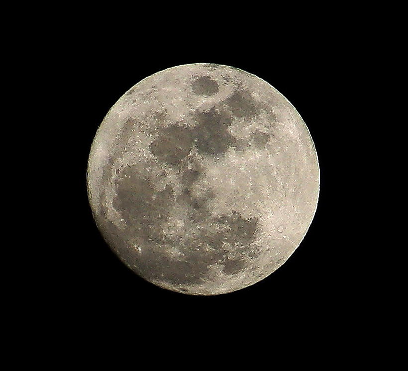 Moon Photograph by Barbara Teller