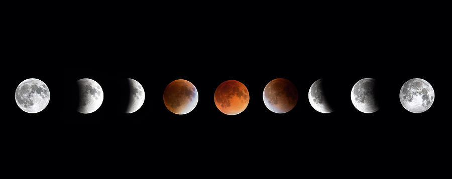 Space Photograph - Total Lunar Eclipse by Bill Wakeley