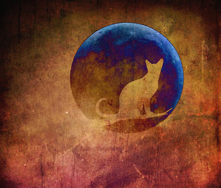 Moon Cat Digital Art by Marianna Mills