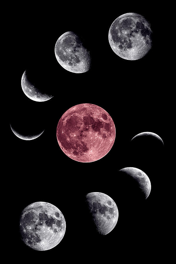 Moon Collage Photograph by Len Brook