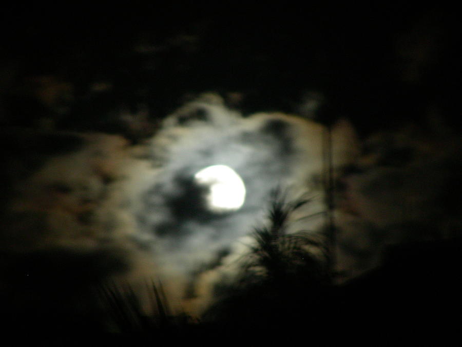 Nature Photograph - Moon Dance by Peter  McIntosh