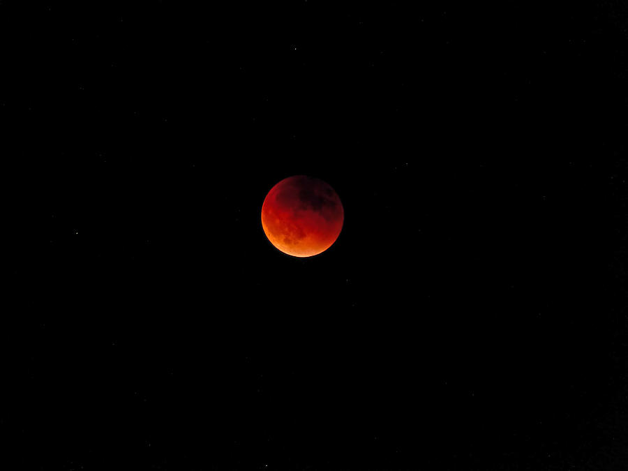 Moon Eclipse 9/27/2015 Photograph by K L Kingston