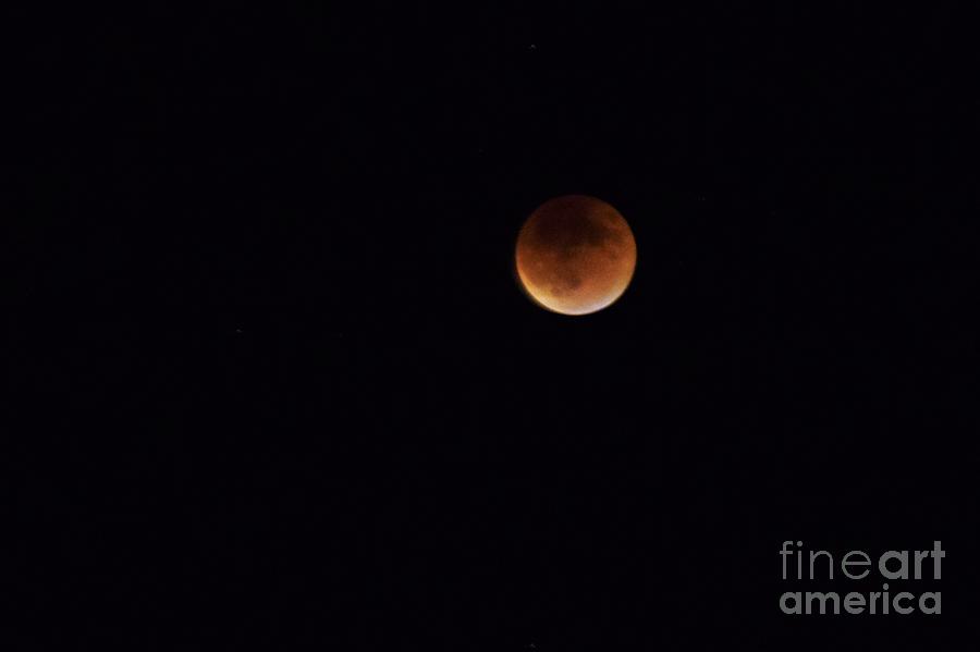 Moon Eclipses Photograph By Daniel Shearer - Pixels