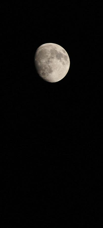 Moon Photograph by Elizabeth Sullivan