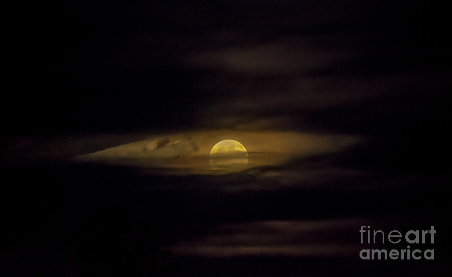 Moon Eye Photograph by Cheryl Baxter