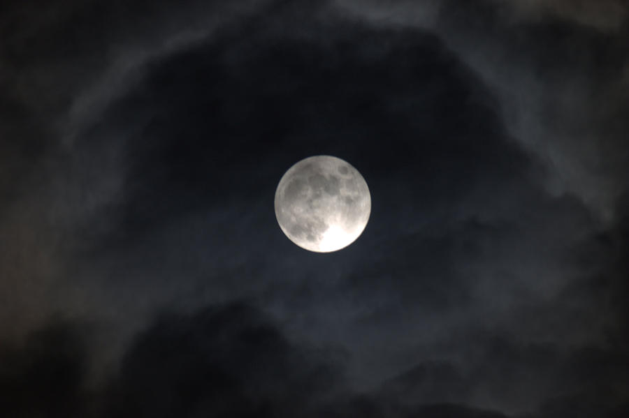 Moon Eye Photograph by Emery Graham