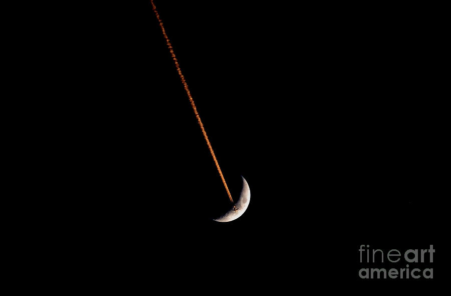 Moon Flight Photograph by David Lee Thompson