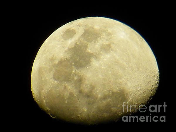 Moon Photograph by Gerald Kloss
