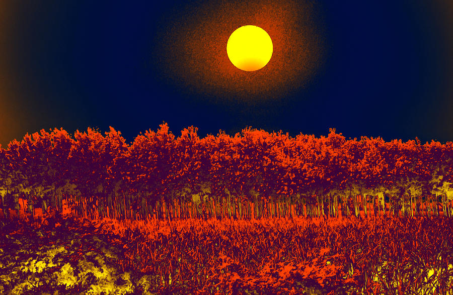 Tree Digital Art - Moon Glow by Bliss Of Art
