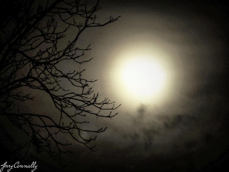 Moon Glow Photograph by Jerry Connally