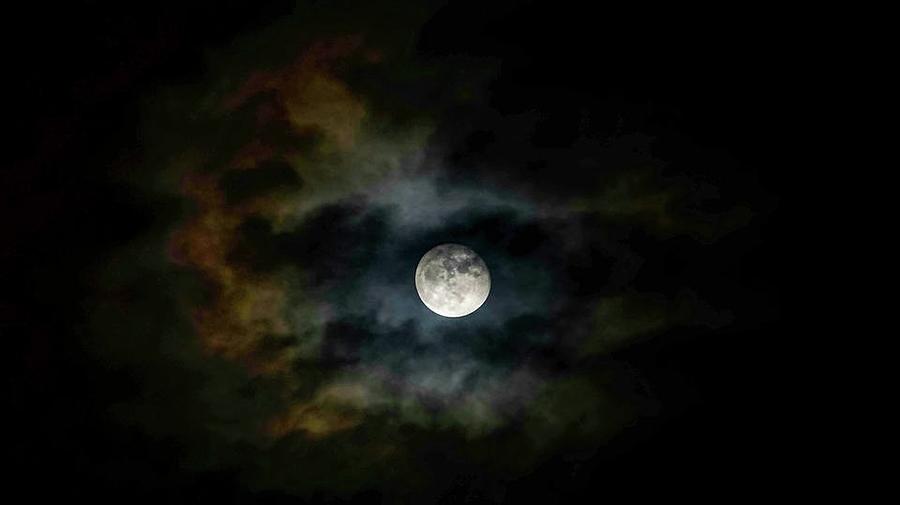 Moon Glow Photograph by Jessie Henry - Fine Art America