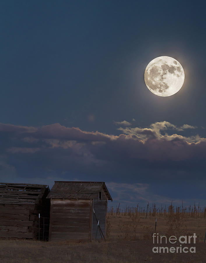 Moon Glow  Photograph by Jim Garrison