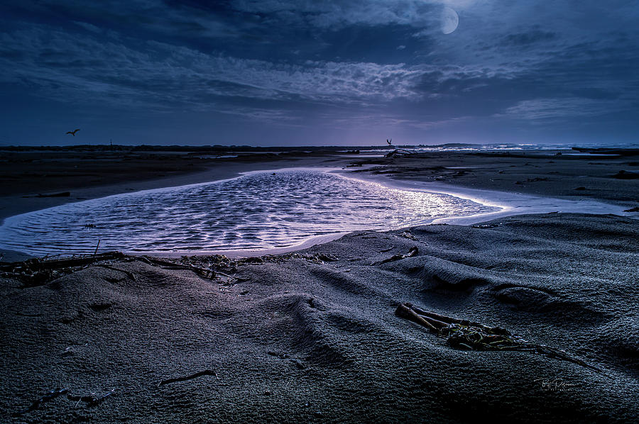 Moon glow seascape Photograph by Bill Posner