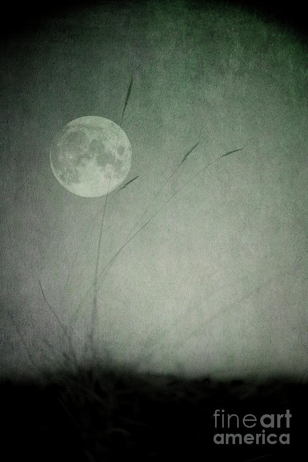 Moon in the dark Photograph by Priska Wettstein