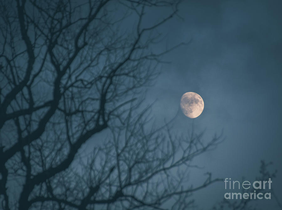 Moon in the Mist Photograph by Cheryl Baxter