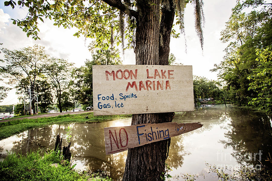Moon Lake Marina Photograph by Scott Pellegrin