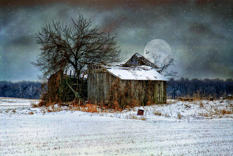 Moon Light Barn Photograph by Mary Timman