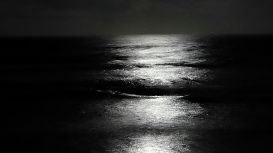 Moon light Photograph by Dennis Dugan