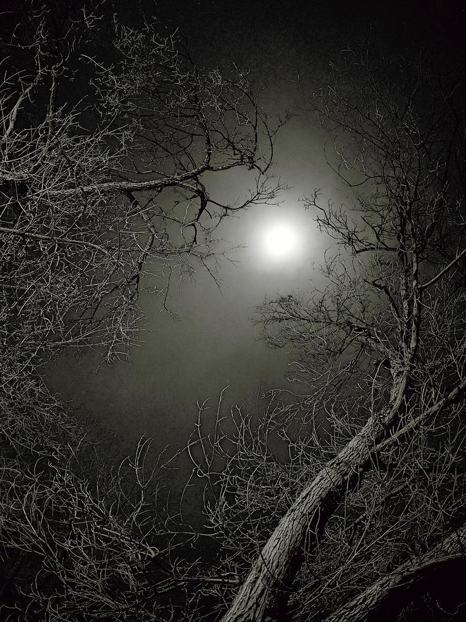 Moon Light on Lamp Lit Night Photograph by Dutch Bieber