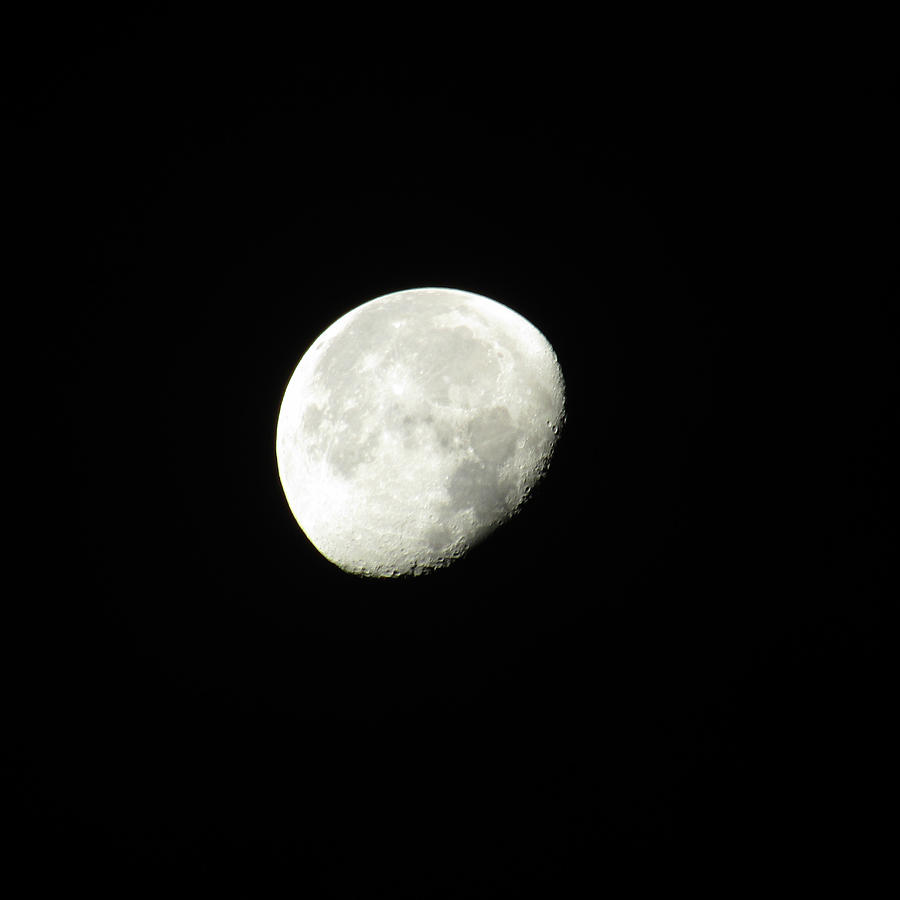 Moon Light Photograph by Robert Knight