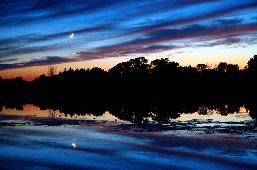 Moon Light Serenade Photograph by Phil Koch