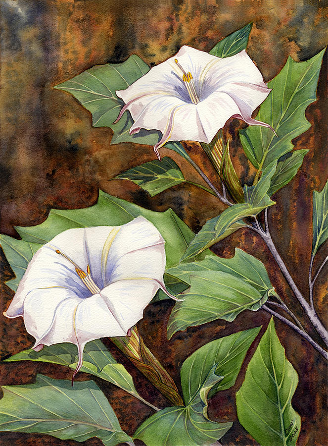 Moon Lilies Painting by Catherine G McElroy
