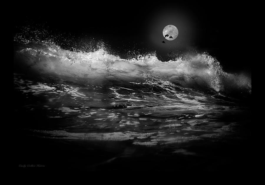 Moon-lit Wave Digital Art by Cindy Collier Harris