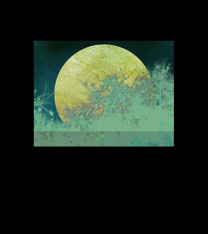 Abstract Digital Art - Moon Magic by Ann Powell
