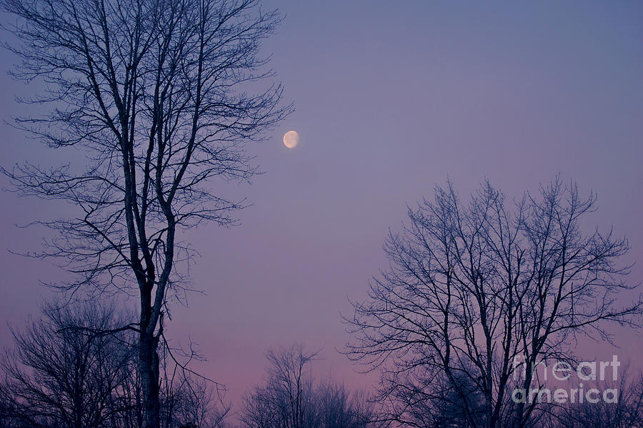 Moon Magic Photograph by Susan Garver