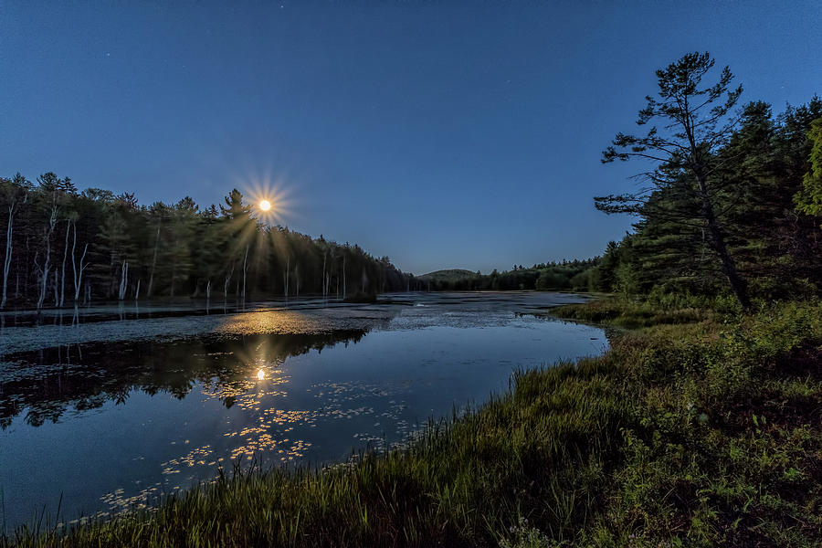 Moon On North Pond Road Photograph by Tom Singleton