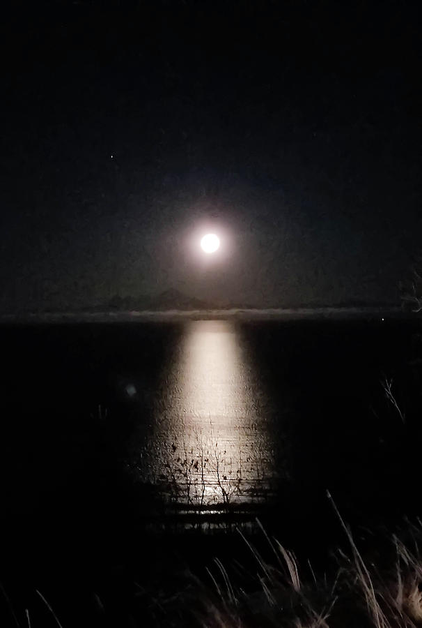 Moon on Ocean Photograph by Britten Adams