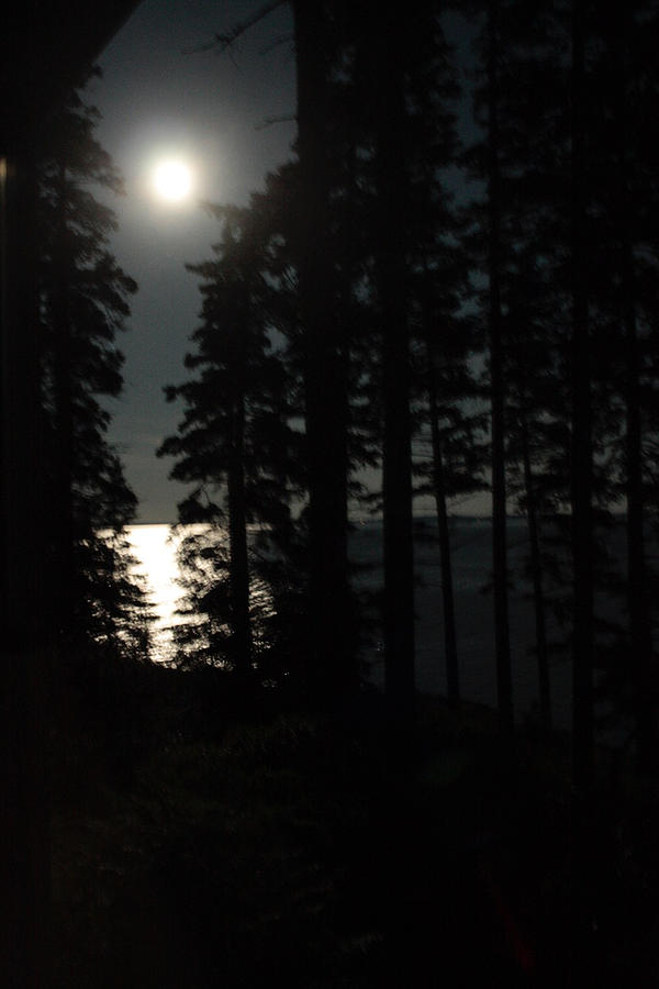 Moon over Blue Hill Bay Photograph by Tasha ONeill