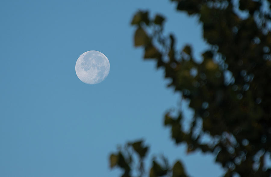 Moon Over Burley Idaho Photograph by Tom Cochran