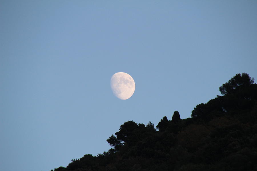Moon over Capri Photograph by Donn Ingemie