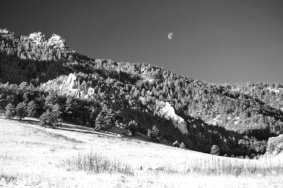 Tree Photograph - Moon Over Chatauqua 2 by Marilyn Hunt