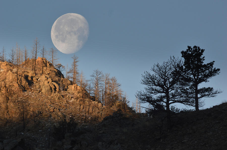 Moon over Colorado Photograph by Al Swasey