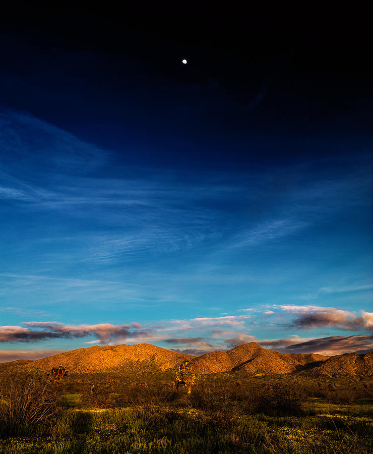 Moon Over Desert Photograph by Grant Sorenson