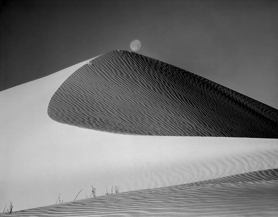214804-BW-Moon over Dune  Photograph by Ed  Cooper Photography