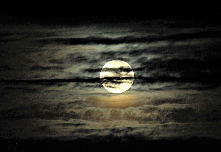 Moon Over Golden Ocean Photograph by Heidi Fickinger
