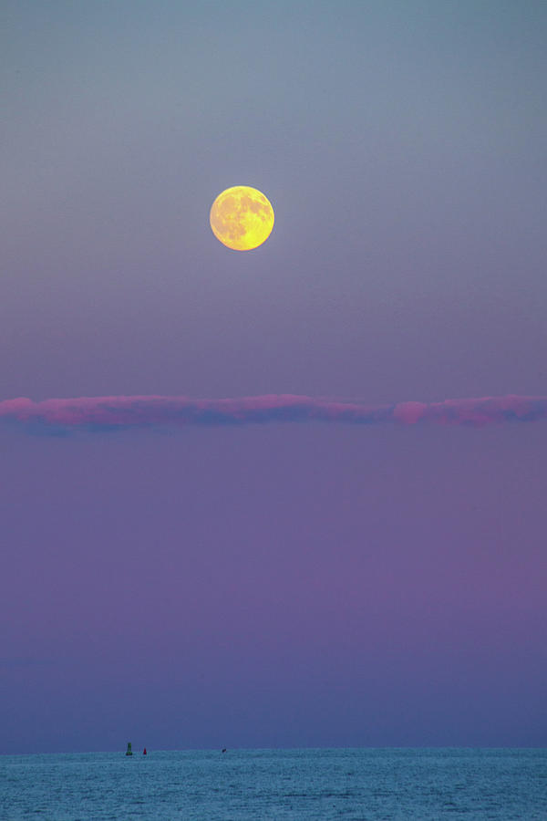 Moon Over Photograph by Karol Livote