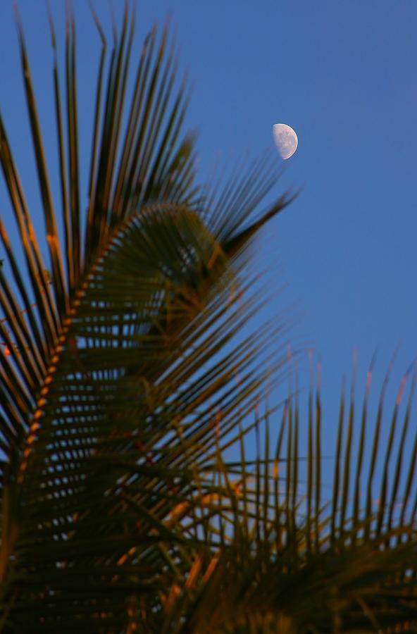 Moon Over Mahaliana Photograph